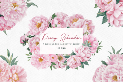 FREE Peony Splendor Illustration